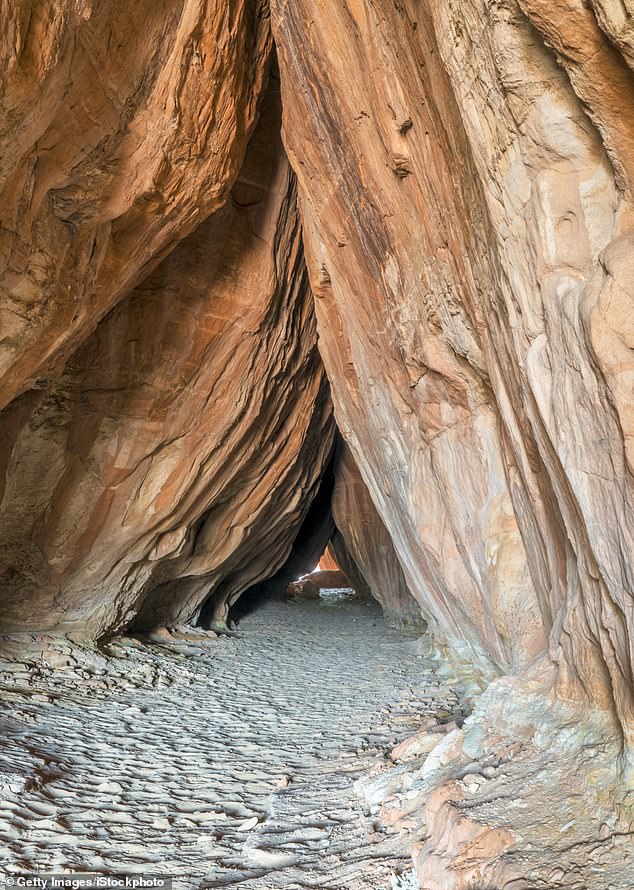 Vandals Deface Sacred Petroglyphs in Utah's Tusher Tunnel, Prompting Investigation