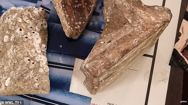 Retired Architect Claims to Uncover 12,000-Year-Old Lost City 'Crescentis' Off Louisiana Coast