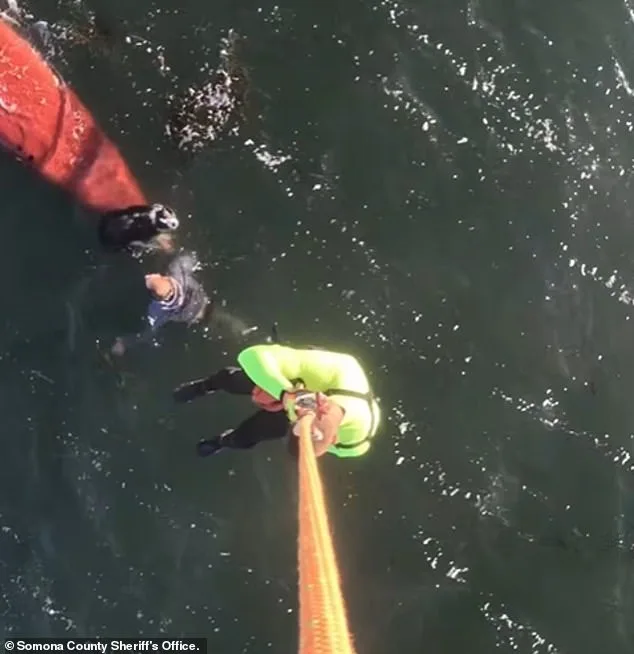 Tragic Kayaking Accident Claims 37-Year-Old Woman's Life in Tomales Bay as Lifejacket Fails in Rough Waters