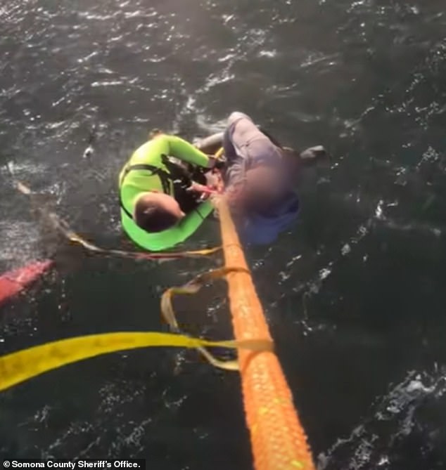 Tragic Kayaking Accident Claims 37-Year-Old Woman's Life in Tomales Bay as Lifejacket Fails in Rough Waters