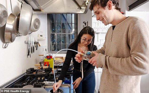 UK Study Alarms Over Gas Stoves Emitting Benzene Levels Equivalent to Smoking Exposure