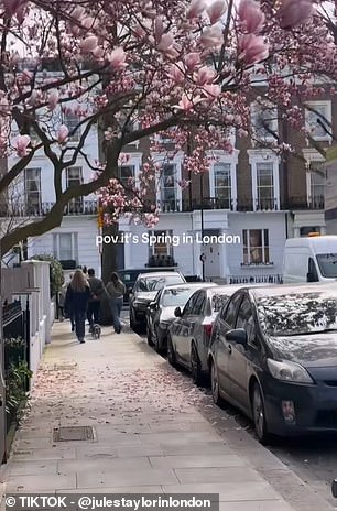 UK's 'Fool's Spring' Weather Whiplash: Sudden Freeze After Record Warmth Sparks Frustration