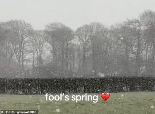 UK's 'Fool's Spring' Weather Whiplash: Sudden Freeze After Record Warmth Sparks Frustration