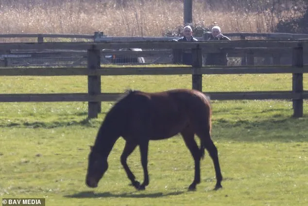 Former Duke of York Defies Riding Ban Amid Misconduct Probe