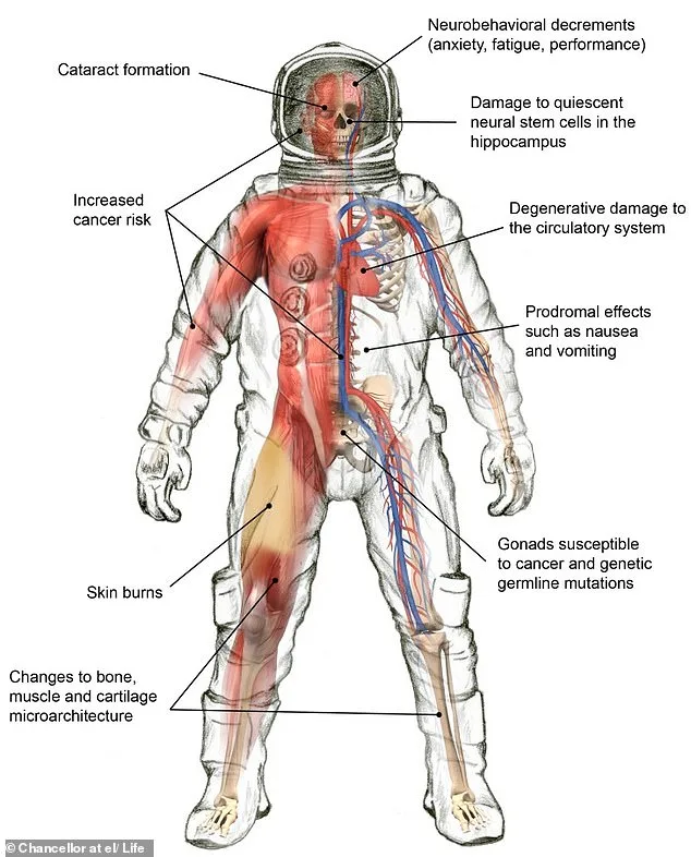 Artemis II Astronauts Face Cosmic Gauntlet of Physiological Challenges on Moon Mission