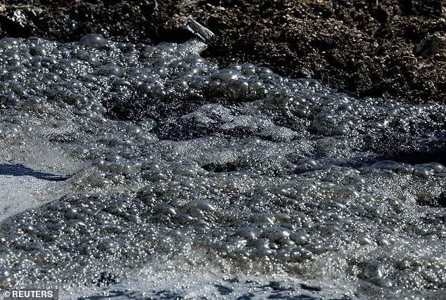 San Diego Beaches Closed Amid Tijuana Sewage Crisis and Public Health Emergency