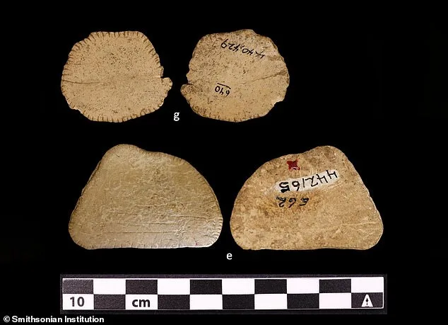 12,000-Year-Old Dice Rewrite History of Gambling in Ancient Native American Culture