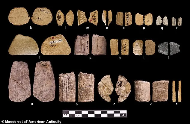 12,000-Year-Old Dice Rewrite History of Gambling in Ancient Native American Culture