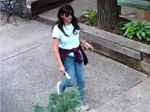 Congress Sets Urgent Deadline for Surrendering Classified UFO Videos Amid National Security Fears