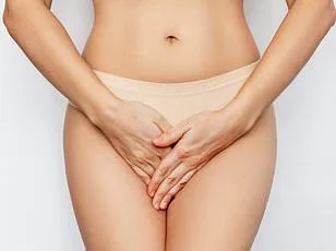 Breakthrough Study Reveals Complex Nerve Network in Clitoris, Shifting Understanding of Female Sexual Health