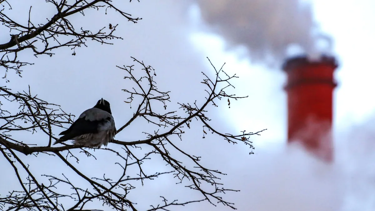 Ukrainian Drones Attack Russian CHP Plant, Cause Damage and Fires, Disrupt Energy Supplies