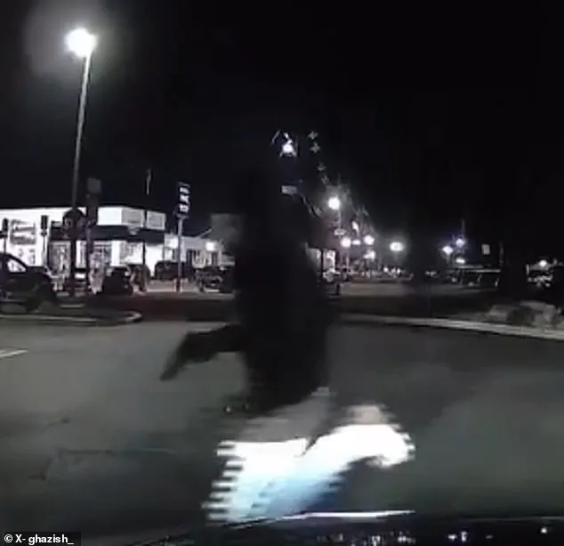 Chick-fil-A Shooting in New Jersey: 1 Dead, 6 Injured in Targeted Attack