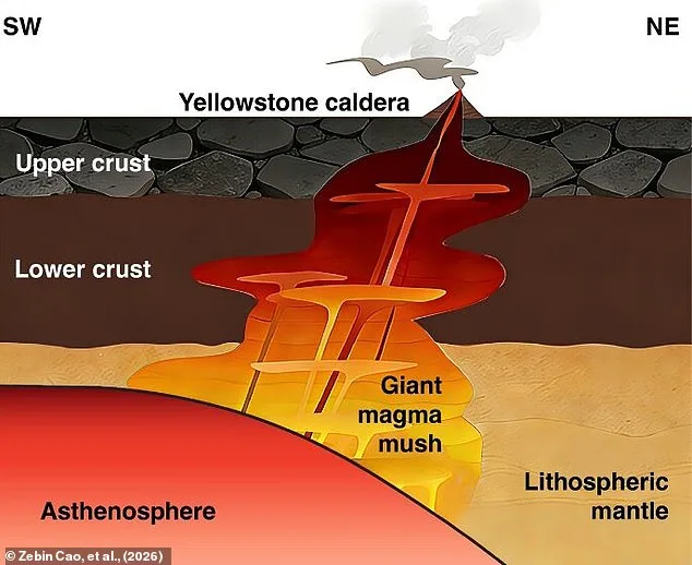 Yellowstone's Shallow Magma 'Mush' Challenges Deep Plume Theories, Study Finds
