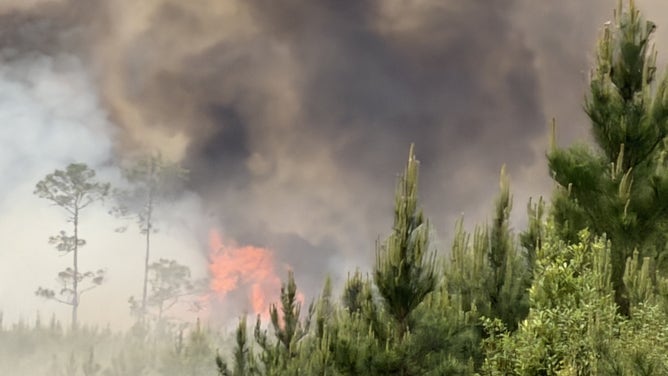 Georgia Declares Emergency as Wildfires Burn 5,000 Acres Amid Drought