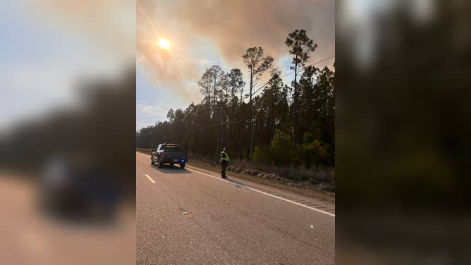 Georgia Declares Emergency as Wildfires Burn 5,000 Acres Amid Drought