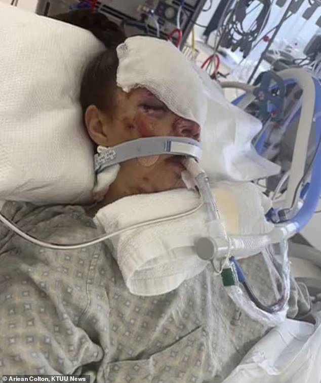 Kenai Mother Survives Bear Attack Dragging Her 100 Yards