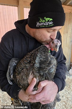 Undercover footage exposes filth and disease risks in NYC live animal markets.