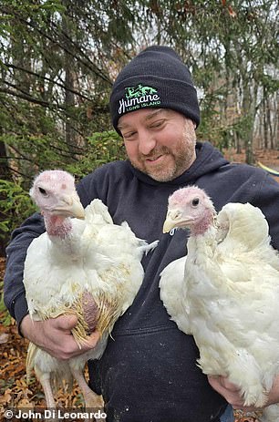 Undercover footage exposes filth and disease risks in NYC live animal markets.