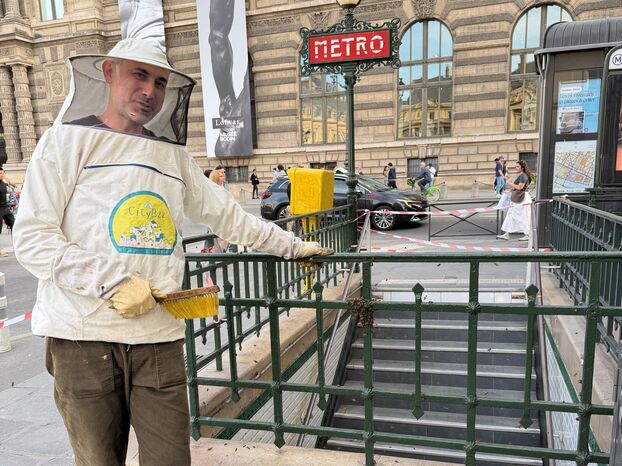 Paris bees swarm bicycle near Louvre, requiring professional relocation.