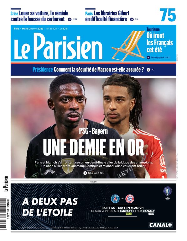 Paris bees swarm bicycle near Louvre, requiring professional relocation.