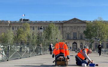 Paris bees swarm bicycle near Louvre, requiring professional relocation.
