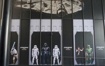 Paris bees swarm bicycle near Louvre, requiring professional relocation.