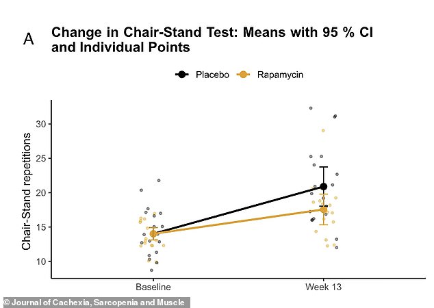 New Study Links Rapamycin to Reduced Muscle Building in Older Adults