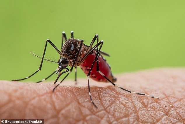 CDC issues Level 2 travel warning for Mauritius due to chikungunya outbreak