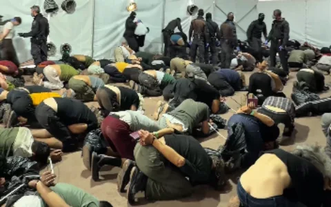 Hundreds of pro-Palestinian activists deported after abuse following flotilla interception.