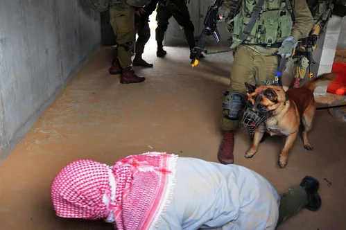 Hundreds of pro-Palestinian activists deported after abuse following flotilla interception.