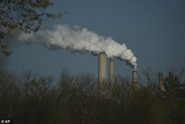 One hour of polluted air triggers immediate lung and brain changes.