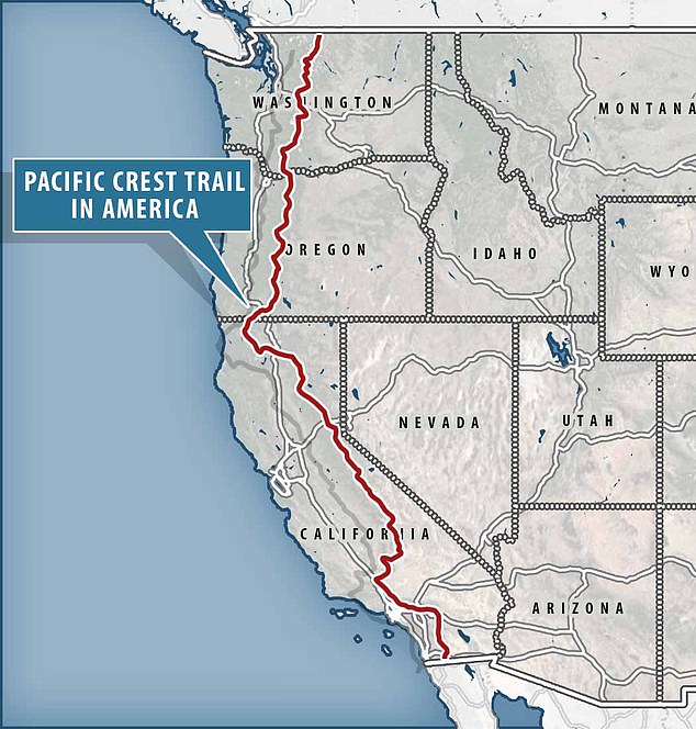 Dozens of Hikers Fall Ill to Outbreak on California's Pacific Crest Trail