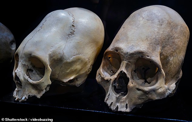 Failed DNA tests reignite alien theories for ancient Peruvian mummies.