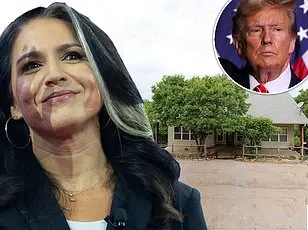 Tulsi Gabbard: From Democratic Star to Trump's Intelligence Pick