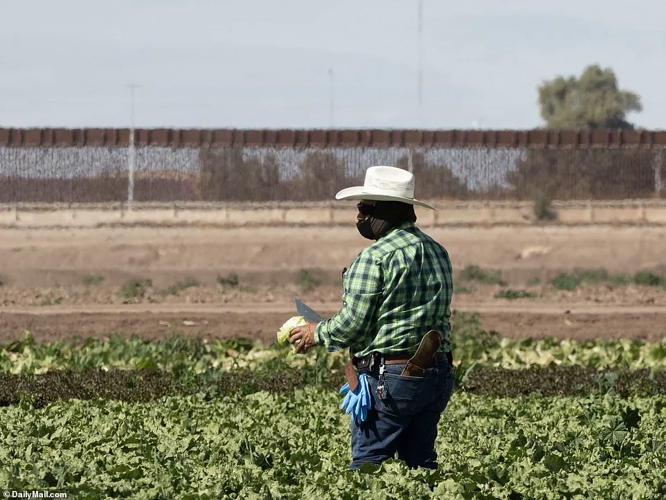 Coyotes Dressing as Border Patrol Agents to Smuggle Migrants