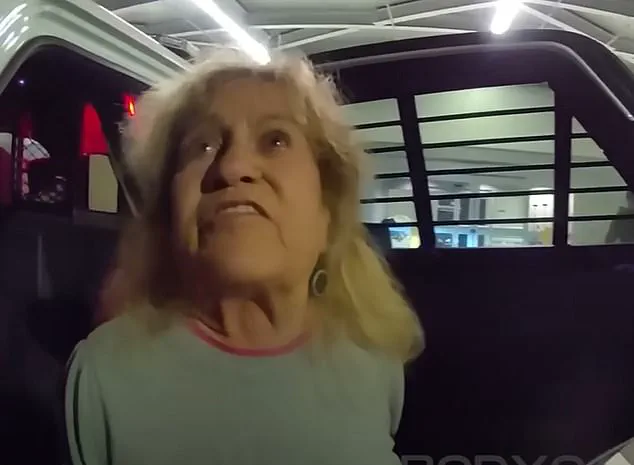 Foul-Mouthed Florida Woman Attacks Deputies During Traffic Stop