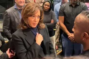 Kamala Harris Encourages Broadway Casts to 'Shine a Light' in Difficult Times