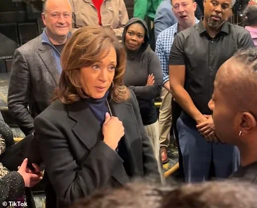 Kamala Harris Encourages Broadway Casts to 'Shine a Light' in Difficult Times