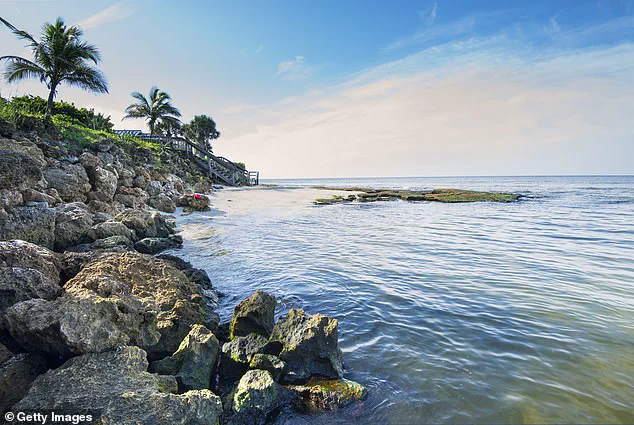 Siesta Key Beach: America's Top Beach with Healing Sand