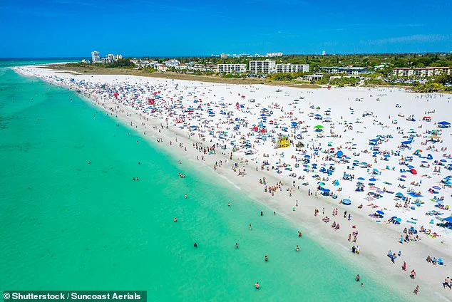 Siesta Key Beach: America's Top Beach with Healing Sand