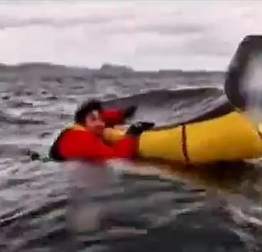 Vindicated: Massachusetts Diver 'Swallowed' by Whale, Now Witness to Rare Whaling Attack