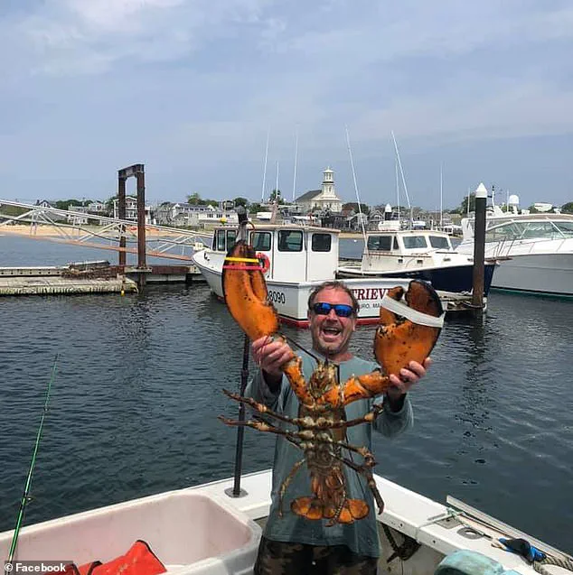 Vindicated: Massachusetts Diver 'Swallowed' by Whale, Now Witness to Rare Whaling Attack