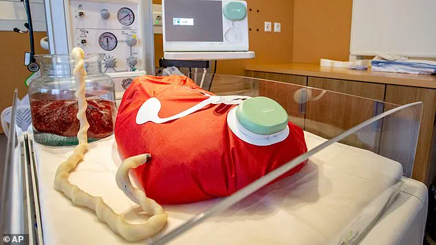 Growing Babies in 'Artificial Wombs': A Future Generation's View