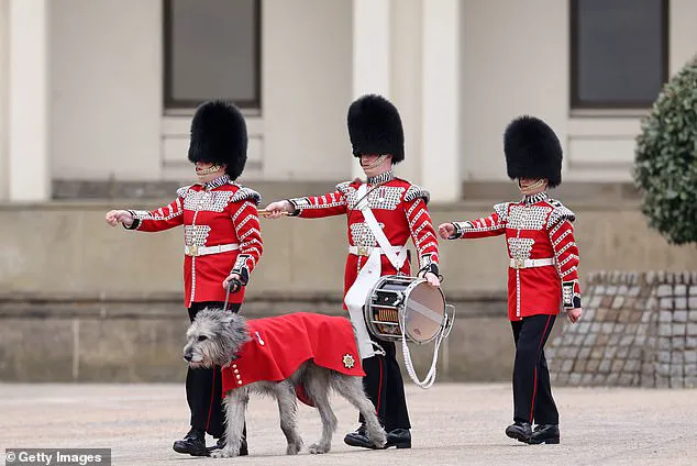 Kate Middleton Dazzles in Emerald Green for St Patrick's Day at Wellington Barracks