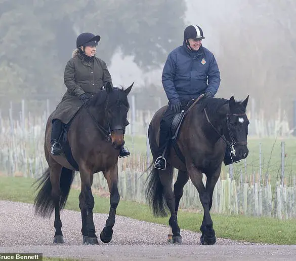 Prince William Smiles in Rare Public Appearance on International Men's Day: Expert Advice and Royal Advocacy