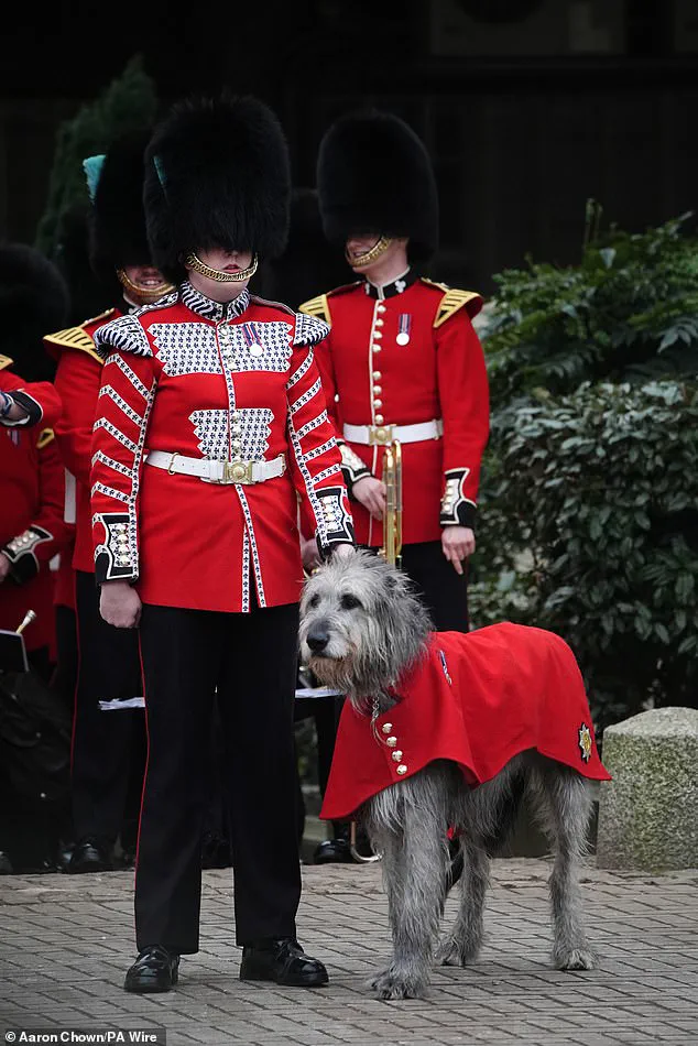 Princess Catherine Celebrates St Patrick's Day with Irish Guards at Wellington Barracks