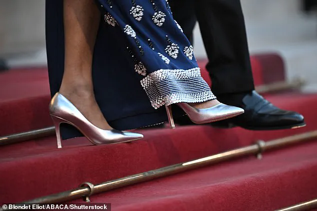 Queen Mary of Denmark Shines at France State Dinner
