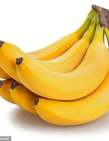 Revolutionary Bananas: No More Brown Spots, No More Mushy Texture