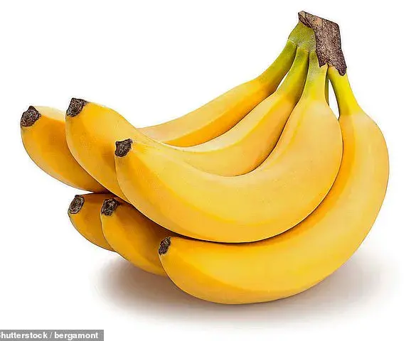 Revolutionary Bananas: No More Brown Spots, No More Mushy Texture