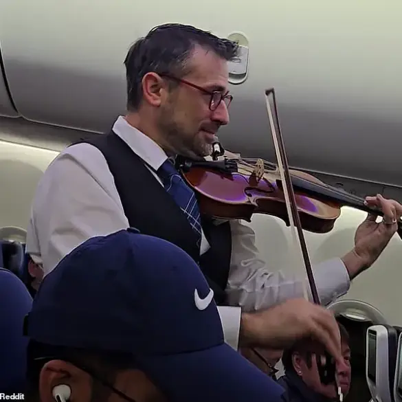 United Airlines Crew Member's Violin Performance Divides Passengers at SFO